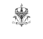Studio Yacht Design